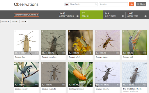 iNatty Localness Checker  from Chrome web store to be run with OffiDocs Chromium online