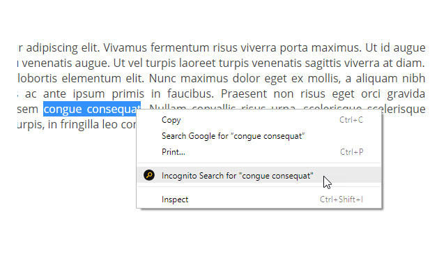 Incognito Search Plus  from Chrome web store to be run with OffiDocs Chromium online