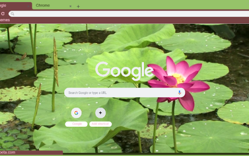 Indian Lotus  from Chrome web store to be run with OffiDocs Chromium online