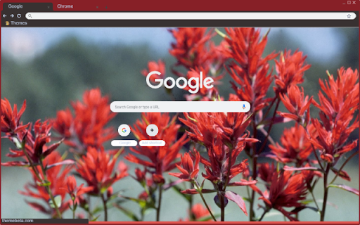 Indian Paintbrush from Chrome web store to be run with OffiDocs Chromium online Indian Paintbrush from Chrome web store to be run with OffiDocs Chromium online