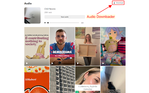 InDown: Video Downloader  from Chrome web store to be run with OffiDocs Chromium online