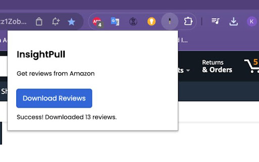 InsightPull  from Chrome web store to be run with OffiDocs Chromium online