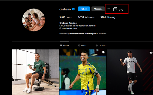 Instagram Downloader Ultimate  from Chrome web store to be run with OffiDocs Chromium online