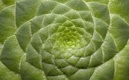 Instant flower  from Chrome web store to be run with OffiDocs Chromium online