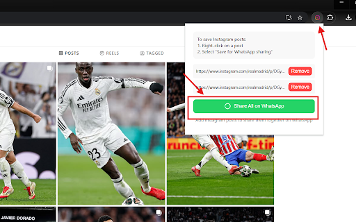 Instazap  from Chrome web store to be run with OffiDocs Chromium online