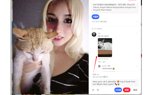 Interactive Potato RedNote AI Translation and AI Reply Generation  from Chrome web store to be run with OffiDocs Chromium online