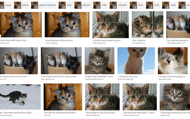 InternetOfCats  from Chrome web store to be run with OffiDocs Chromium online
