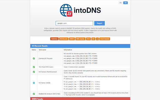 IntoDNS DNS Analyzer  from Chrome web store to be run with OffiDocs Chromium online