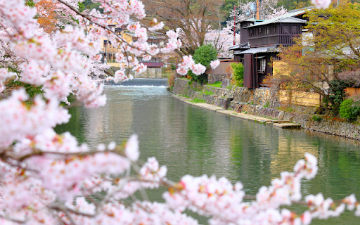 Introduction to the Cherry Blossoms by the River and House Theme  from Chrome web store to be run with OffiDocs Chromium online