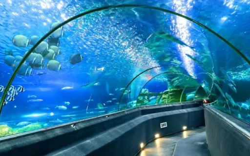 Introduction to the Nha Trang Institute of Oceanography  from Chrome web store to be run with OffiDocs Chromium online