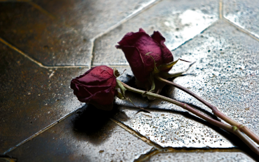 Introduction to the Withered Rose Falling on the Ground  from Chrome web store to be run with OffiDocs Chromium online