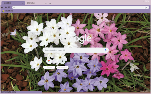 Ipheion  from Chrome web store to be run with OffiDocs Chromium online