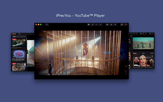 iPrevYou YouTube™ Player  from Chrome web store to be run with OffiDocs Chromium online