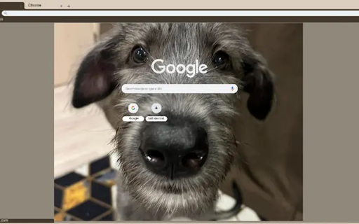Irish wolfhound  from Chrome web store to be run with OffiDocs Chromium online