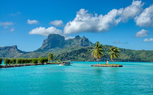 island of two coconut trees  from Chrome web store to be run with OffiDocs Chromium online