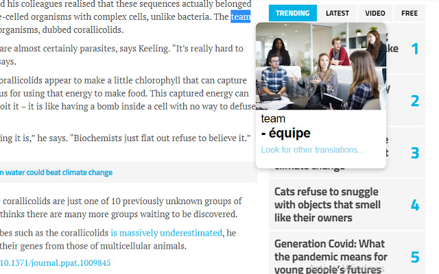 iTranslator Select to Translate  from Chrome web store to be run with OffiDocs Chromium online