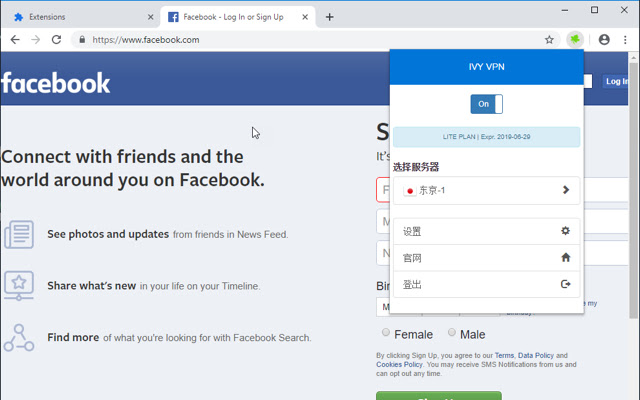IvyVPN  from Chrome web store to be run with OffiDocs Chromium online