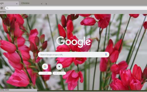Ixia  from Chrome web store to be run with OffiDocs Chromium online