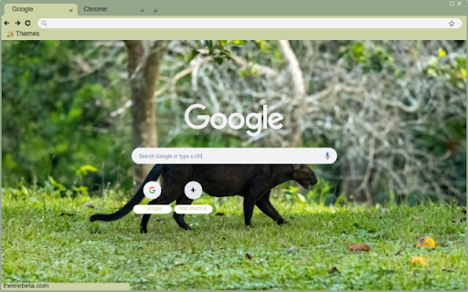 Jaguarundi  from Chrome web store to be run with OffiDocs Chromium online