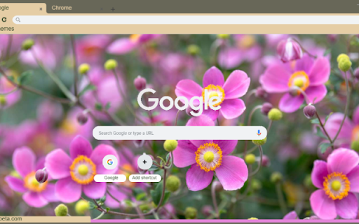 Japanese Anemone  from Chrome web store to be run with OffiDocs Chromium online