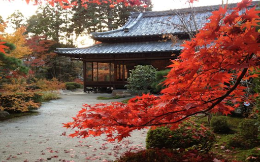 japanese autumn wallpaper  from Chrome web store to be run with OffiDocs Chromium online