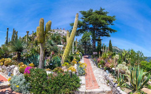 Jardin Exotique  from Chrome web store to be run with OffiDocs Chromium online