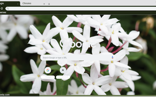 Jasmine  from Chrome web store to be run with OffiDocs Chromium online