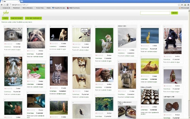 @jobo.ro  from Chrome web store to be run with OffiDocs Chromium online