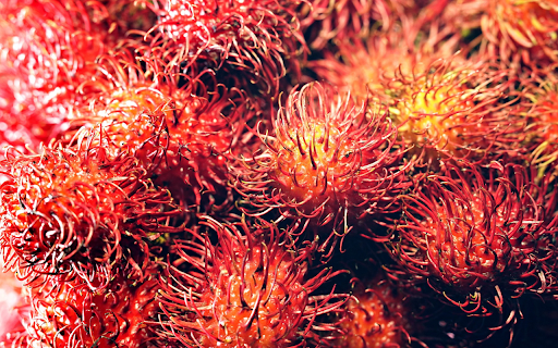 Juicy red rambutans  from Chrome web store to be run with OffiDocs Chromium online
