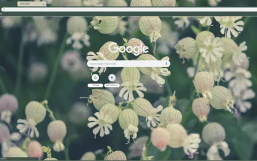 June meadow  from Chrome web store to be run with OffiDocs Chromium online