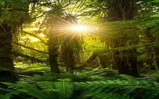 Jungle wallpaper  from Chrome web store to be run with OffiDocs Chromium online