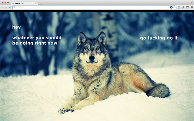 Jurawa Design Wolf New Tab Extension  from Chrome web store to be run with OffiDocs Chromium online