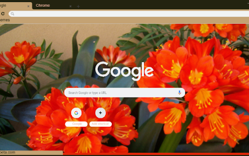 Kaffir Lily  from Chrome web store to be run with OffiDocs Chromium online