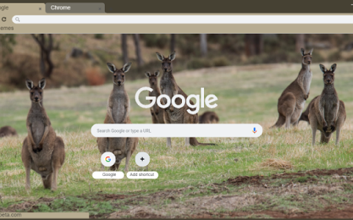 Kangaroo  from Chrome web store to be run with OffiDocs Chromium online