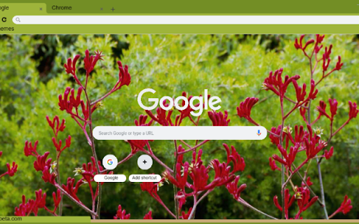 Kangaroo Paw  from Chrome web store to be run with OffiDocs Chromium online