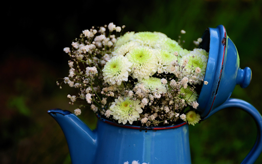 Kettle and flowers  from Chrome web store to be run with OffiDocs Chromium online