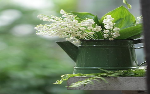 Kettle wallpaper for flowers  from Chrome web store to be run with OffiDocs Chromium online