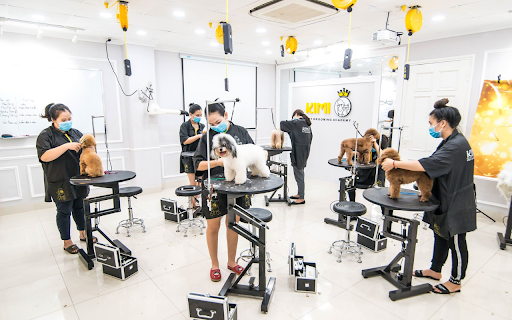 Khóa học cắt tỉa lông chó Level C Kimi Pet Grooming School  from Chrome web store to be run with OffiDocs Chromium online