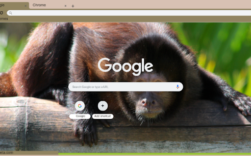 Khi Capuchin  from Chrome web store to be run with OffiDocs Chromium online