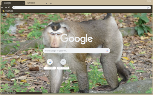 Khi dau cho  from Chrome web store to be run with OffiDocs Chromium online