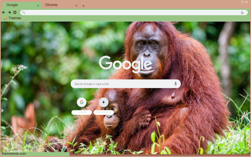 Khi Orangutan  from Chrome web store to be run with OffiDocs Chromium online