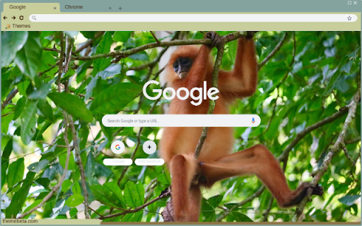 Khi vooc  from Chrome web store to be run with OffiDocs Chromium online