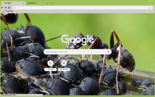 Kien Den  from Chrome web store to be run with OffiDocs Chromium online