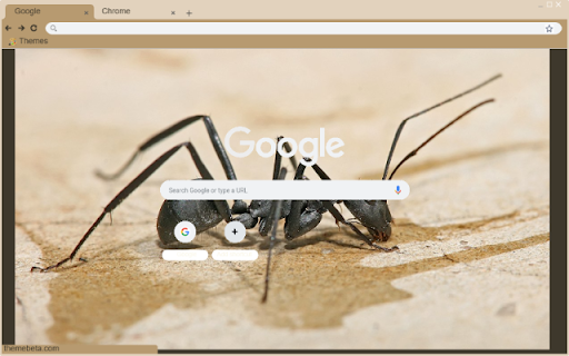 Kien Tho  from Chrome web store to be run with OffiDocs Chromium online