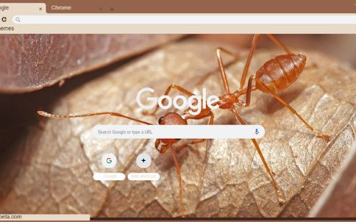 Kien Vang  from Chrome web store to be run with OffiDocs Chromium online