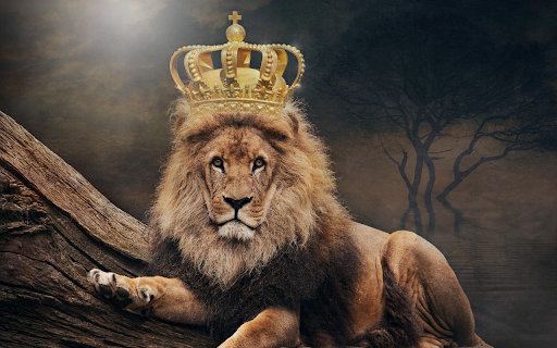King of the jungle  from Chrome web store to be run with OffiDocs Chromium online