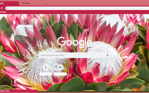 King Protea  from Chrome web store to be run with OffiDocs Chromium online