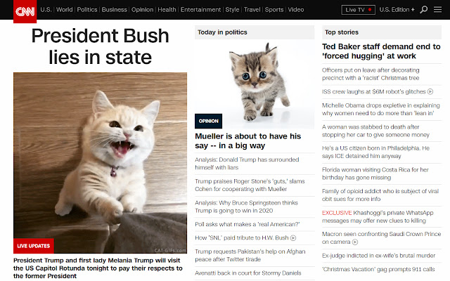 Kitten Around!  from Chrome web store to be run with OffiDocs Chromium online
