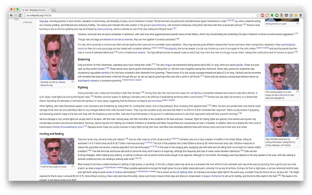 Kitten Blocker  from Chrome web store to be run with OffiDocs Chromium online