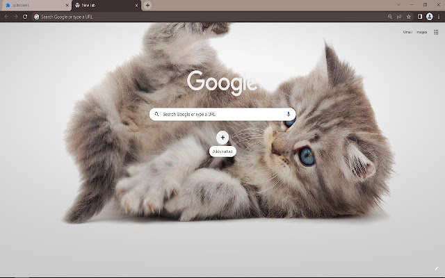Kitten Browser Theme  from Chrome web store to be run with OffiDocs Chromium online